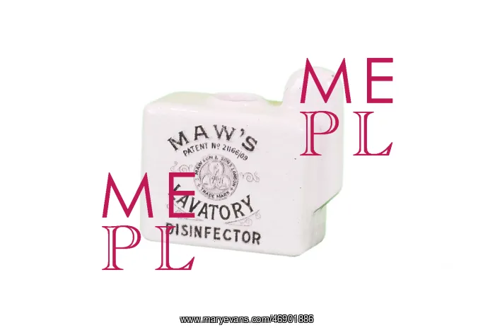  : Lavatory Disinfecter