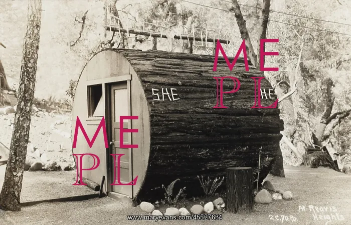 : Lavatory made out of the trunk of a Redwood : Lavatory made out of the trunk of a Redwood