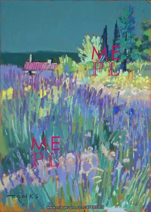  : Lavender ' Fields with purple roofed house