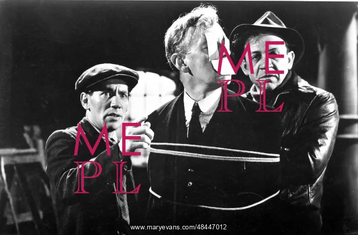 : THE LAVENDER HILL MOB : THE LAVENDER HILL MOB
