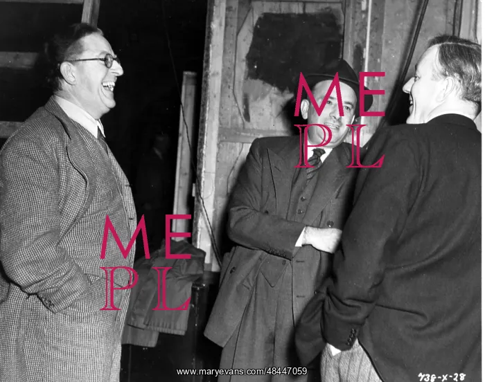 : THE LAVENDER HILL MOB : THE LAVENDER HILL MOB