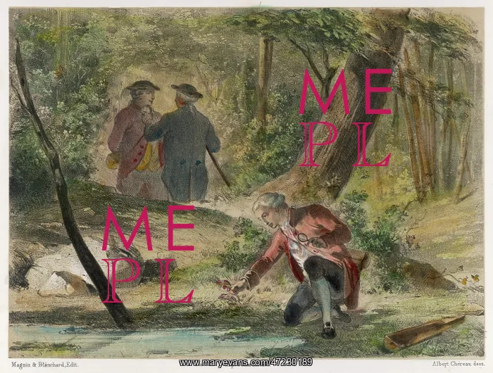 : LAVOISIER BOTANISING : LAVOISIER BOTANISING
