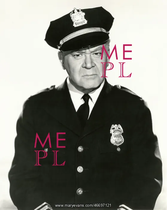 : Law enforcement - : Law enforcement -
