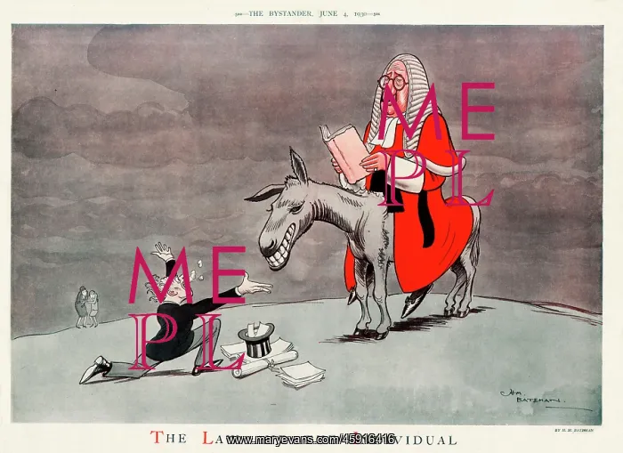 : The Law and the Individual : The Law and the Individual