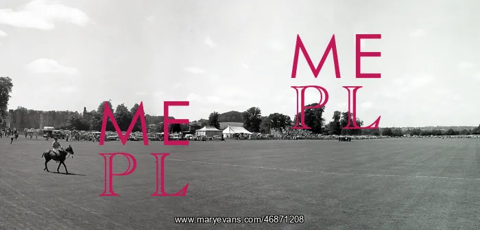  : Lawns at Cowdray