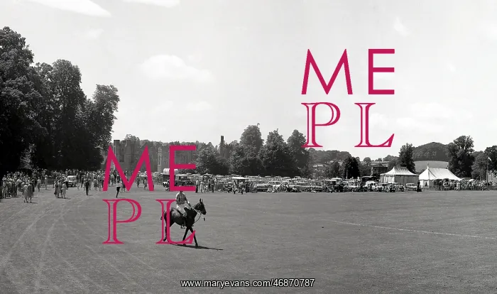 : Lawns ground at Cowdray Park : Lawns ground at Cowdray Park