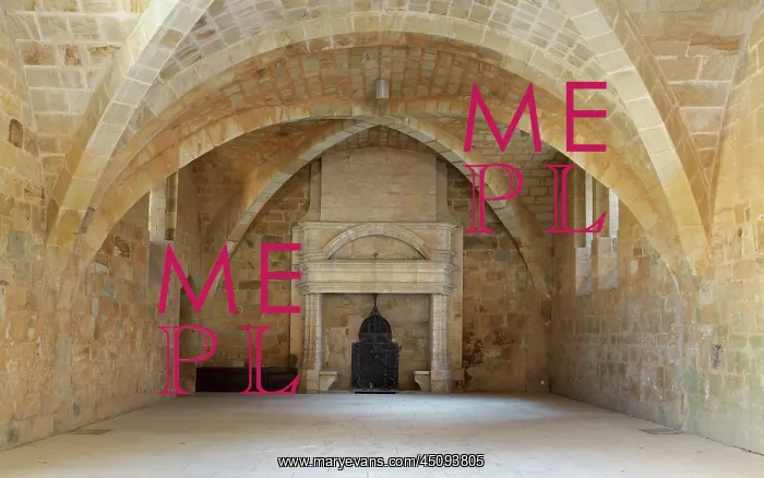 : Lay refectory, Fontfroide Abbey, Languedoc-Roussillon : Lay refectory, Fontfroide Abbey, Languedoc-Roussillon