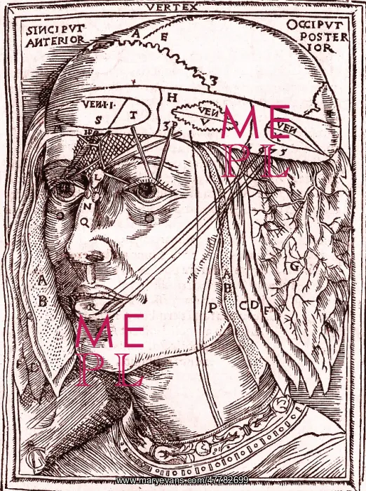 : Layers of the Brain : Layers of the Brain
