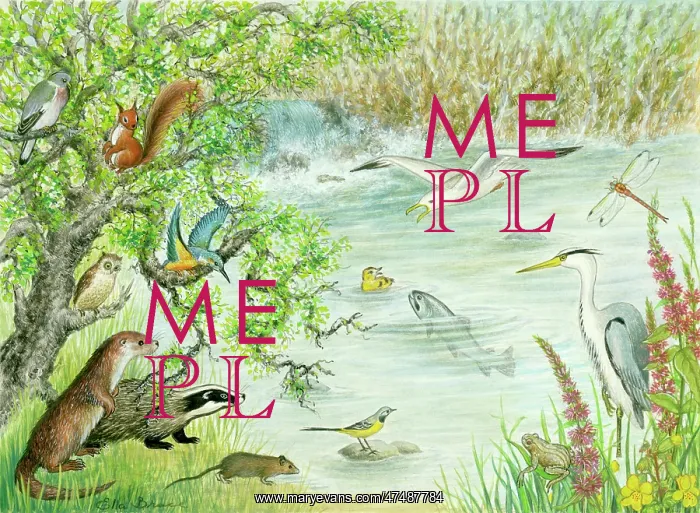  : The Lazy Duckling - with animals and birds