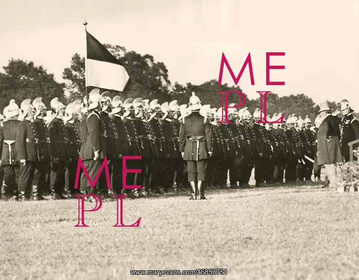 : LCC-LFB Review of the Brigade by Edward VII : LCC-LFB Review of the Brigade by Edward VII