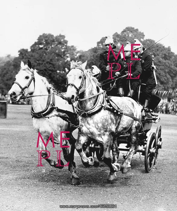: LCC-LFB steam fire engine racing in Hyde Park : LCC-LFB steam fire engine racing in Hyde Park