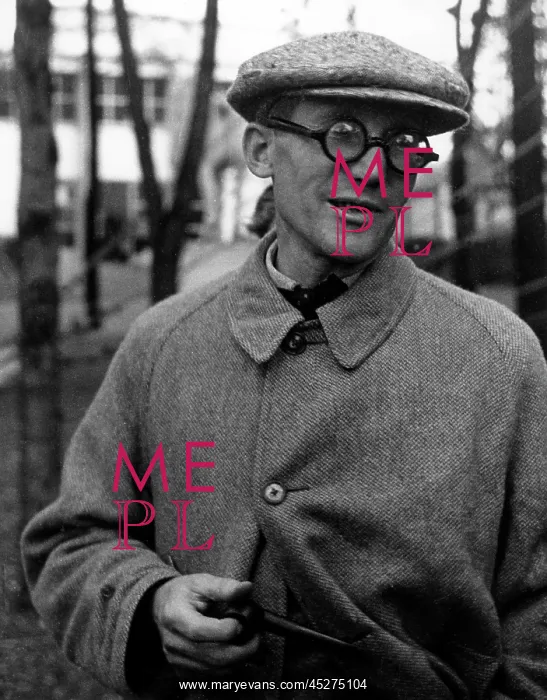: Le Corbusier : Le Corbusier