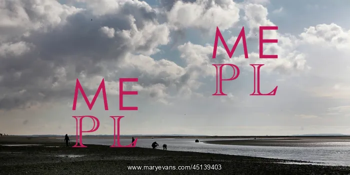 : Le Crotoy beach : Le Crotoy beach