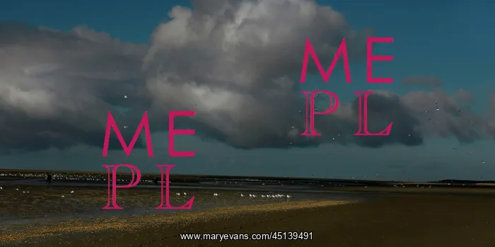 : Le Crotoy beach : Le Crotoy beach