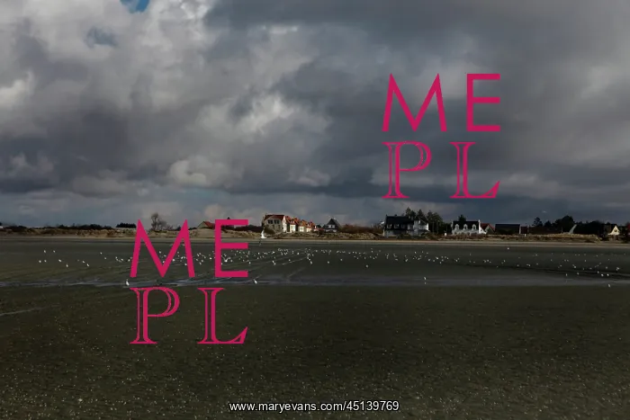 : Le Crotoy beach : Le Crotoy beach