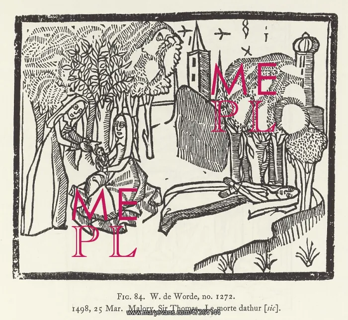 : Le Morte D'Arthur : Le Morte D'Arthur