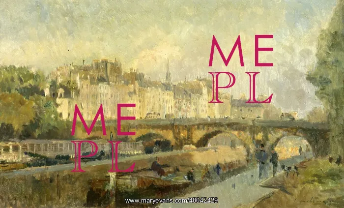 : Le Pont-Neuf bridge in Paris : Le Pont-Neuf bridge in Paris