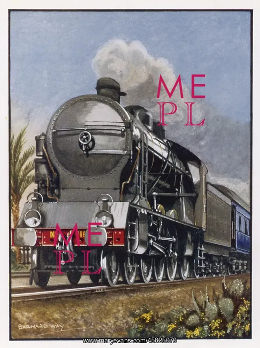 : LE TRAIN BLEU : LE TRAIN BLEU