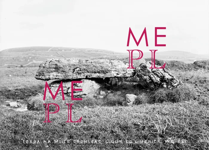  : Leaba Na Muice Cromlech, Lough Gur, Co Limerick