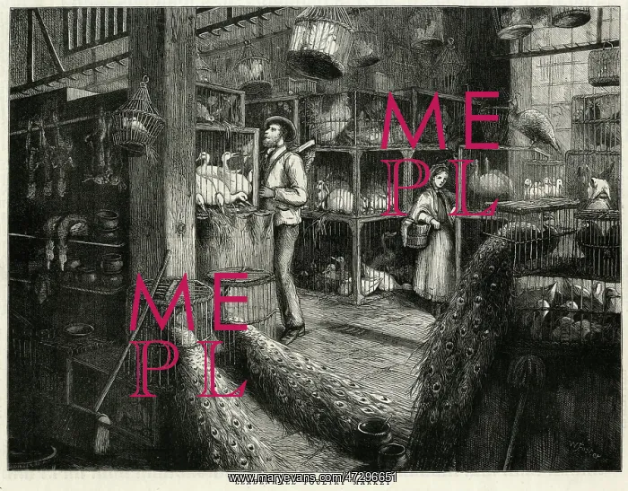 : Leadenhall Market 1876 : Leadenhall Market 1876