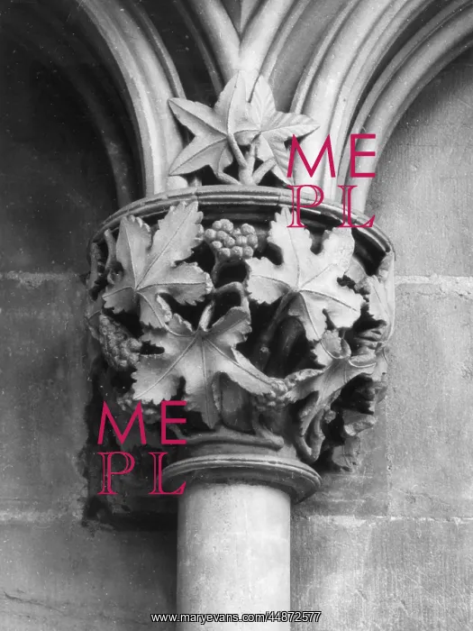 : LEAF CAPITAL : LEAF CAPITAL