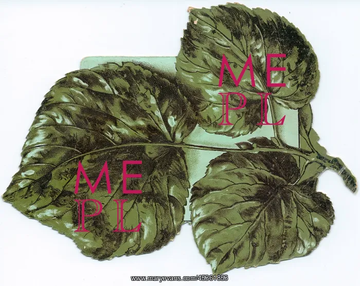 : Leaf-shaped reversible Christmas card : Leaf-shaped reversible Christmas card