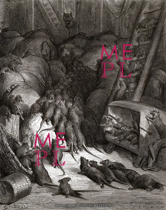 : The League of Rats : The League of Rats
