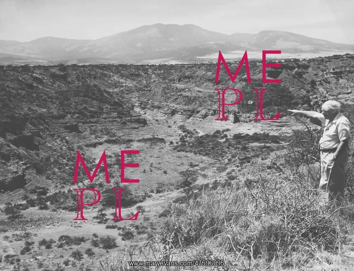 : Leakey at the Olduvai Gorge : Leakey at the Olduvai Gorge