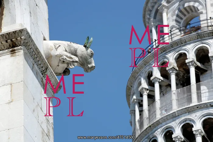 : Leaning Tower of Pisa : Leaning Tower of Pisa