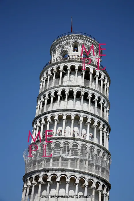 : The Leaning Tower of Pisa : The Leaning Tower of Pisa