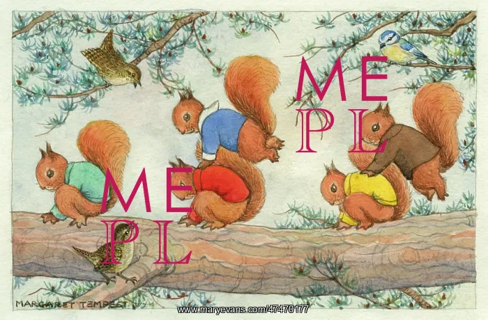  : Leap Frog ? squirrels playing leap frog