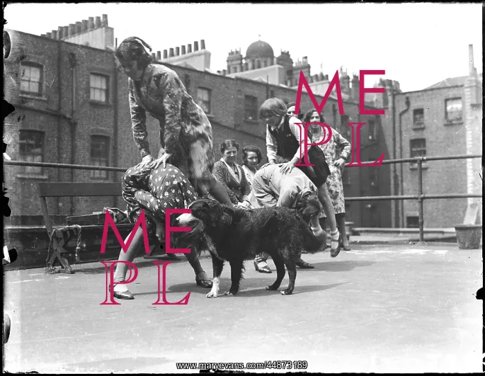 : Leapfrog on the Roof : Leapfrog on the Roof