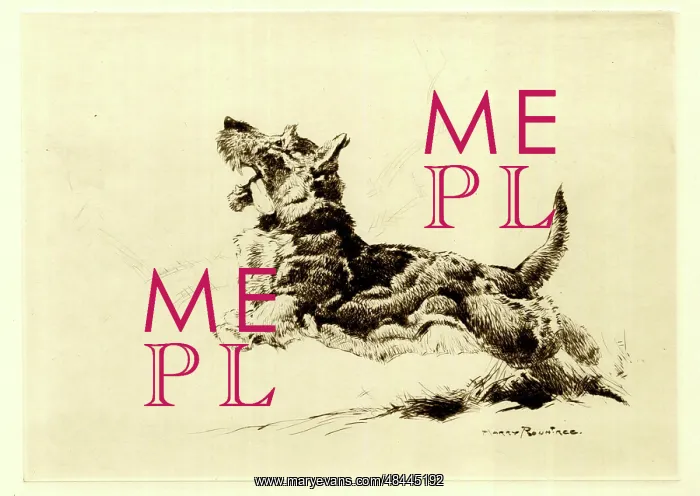  : Leaping Dog, by Harry Rountree