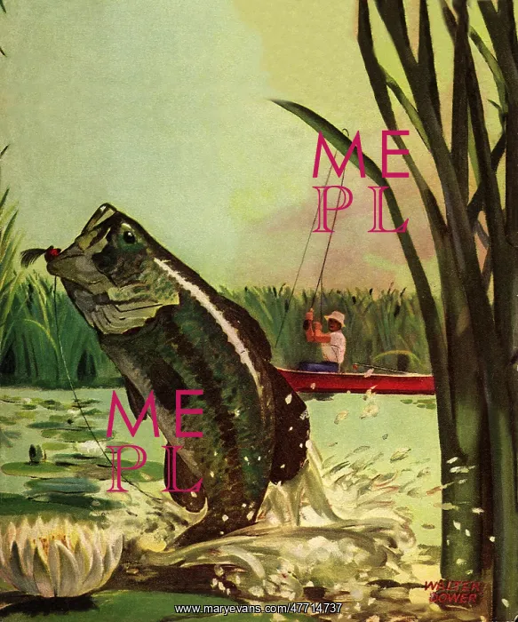  : Leaping Fish is Snagged