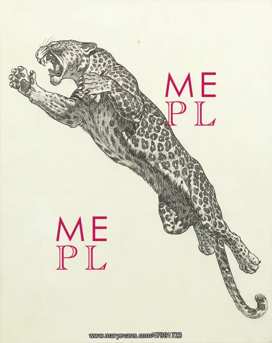 : A leaping leopard : A leaping leopard