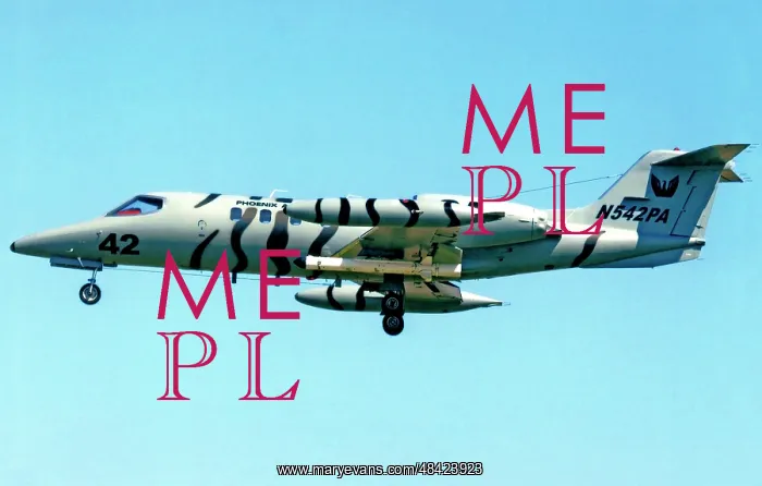 : Learjet 35 N542PA : Learjet 35 N542PA