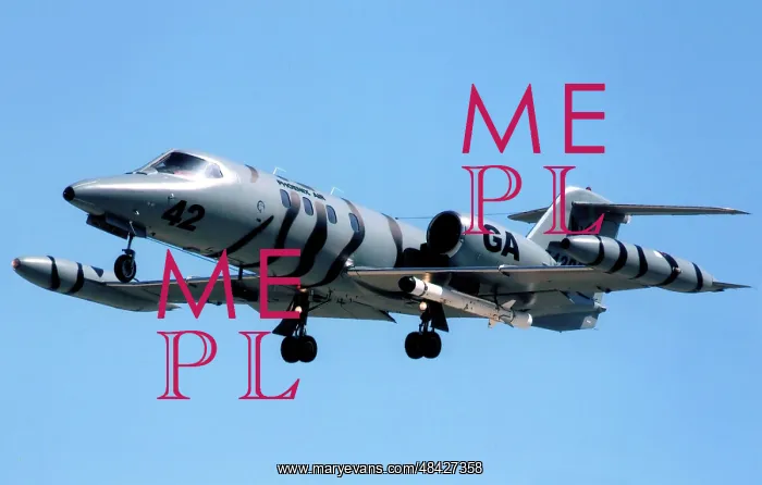 : Learjet 35 N542PA : Learjet 35 N542PA