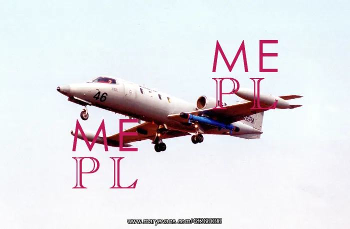 : Learjet 35 N546PA : Learjet 35 N546PA