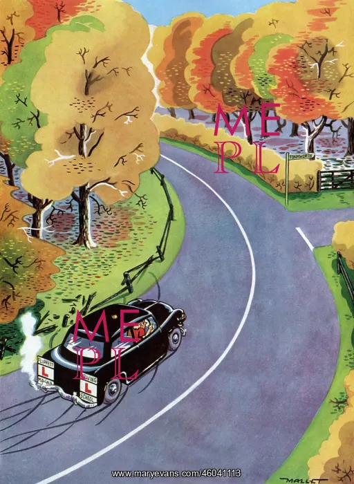 : Learning to Drive by Mallet : Learning to Drive by Mallet