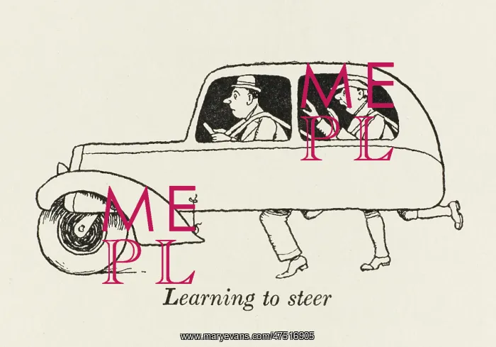 : Learning To Steer - W H Robinson : Learning To Steer - W H Robinson