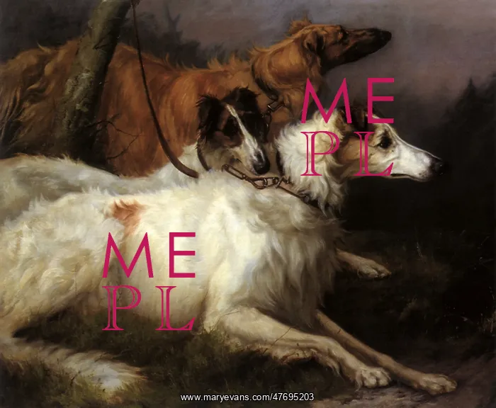  : On Leash, Korotai, Zeneitra and Piolla