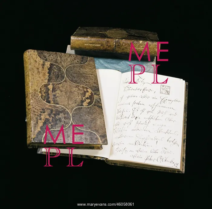 : Leather covers designed for books : Leather covers designed for books
