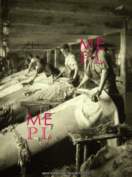 : Leather industry in Austria - About 1935 : Leather industry in Austria - About 1935