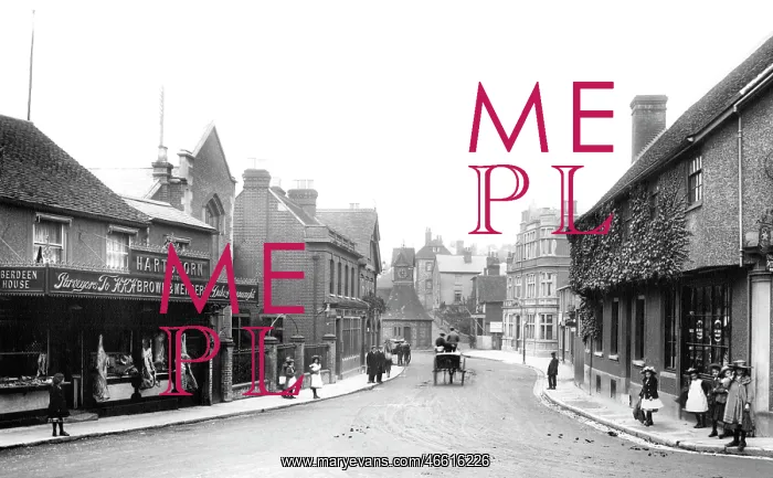  : Leatherhead, North Street 1906