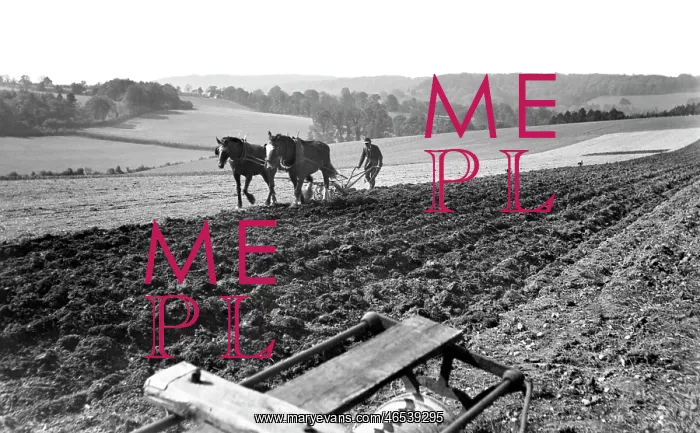  : Leatherhead, Ploughing 1925