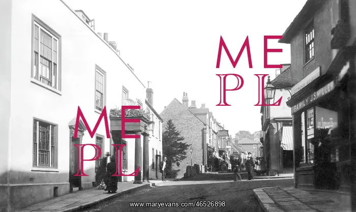  : Leatherhead, the Swan Hotel 1888