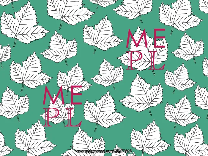  : Leaves pattern