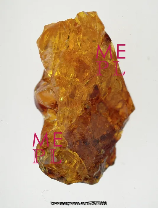 : Lebanese amber : Lebanese amber