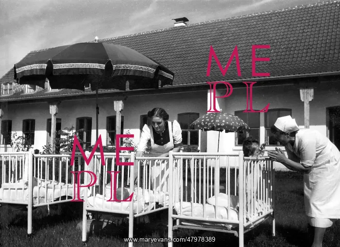 : Lebensborn : Lebensborn