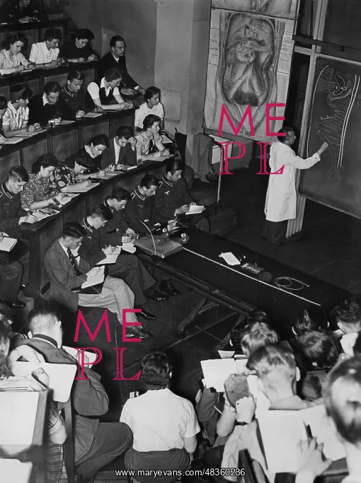 : Lecture at the Institute of Anatomy, 1941 : Lecture at the Institute of Anatomy, 1941